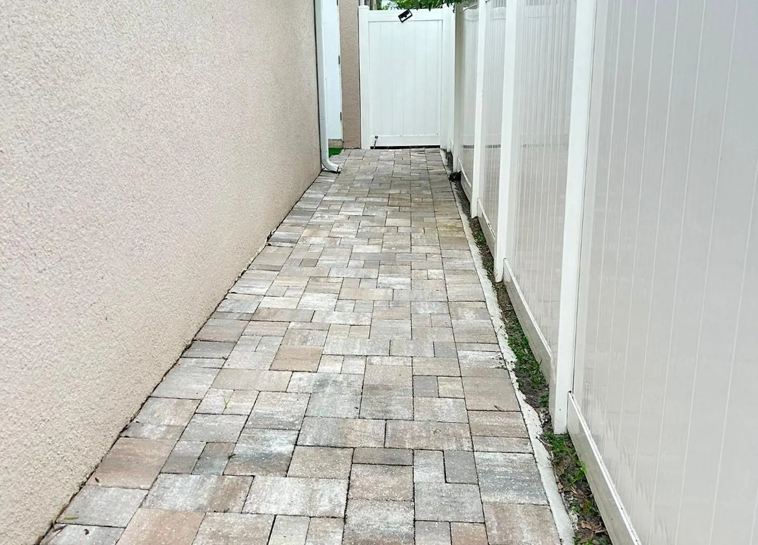 Jeli Suite タンパ 0*,  米国